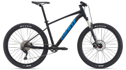 Велосипед GIANT Talon 29 1 Black (2021)