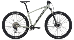 Велосипед GIANT Talon 29 1 Desert Sage (2021)