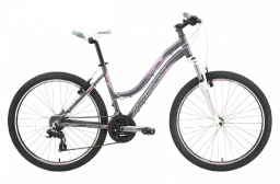 Велосипед Silverback SPLASH 26 silver (2015)