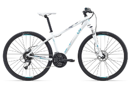 Велосипед Giant Rove 2 Disc DD 2016