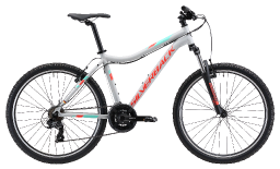 Велосипед Silverback Stride 26 SLD Silver (2019)