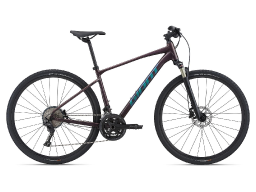 Велосипед GIANT Roam 0 Disc Rosewood (2021)