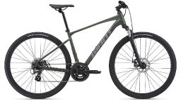 Велосипед GIANT Roam 4 Disc Moss Green (2021)